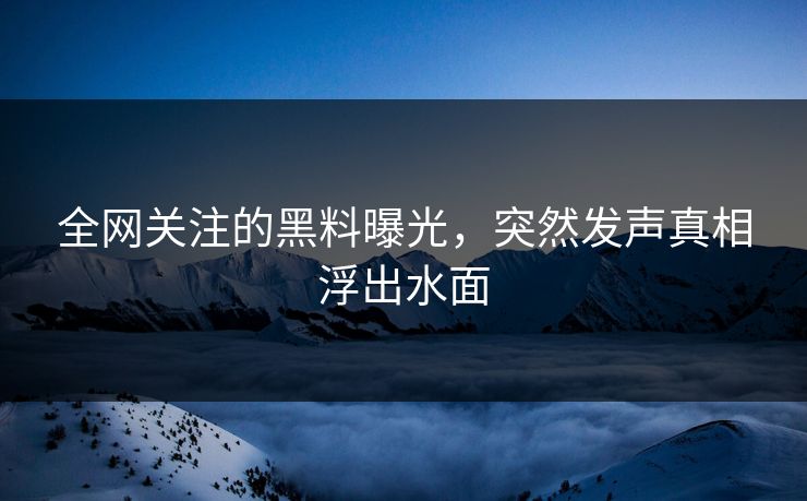 全网关注的黑料曝光，突然发声真相浮出水面