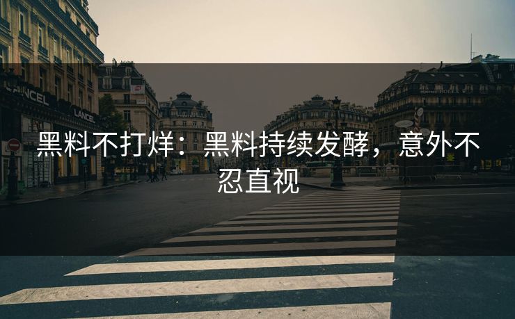 黑料不打烊：黑料持续发酵，意外不忍直视