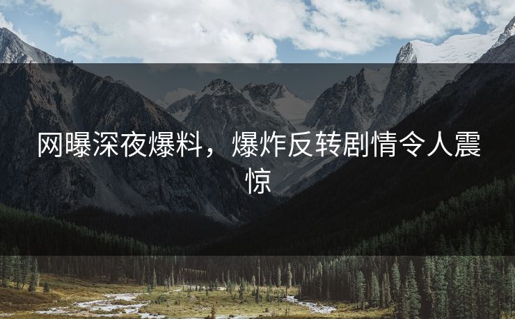网曝深夜爆料，爆炸反转剧情令人震惊