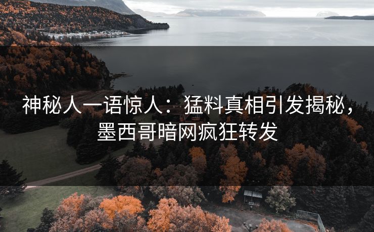 神秘人一语惊人：猛料真相引发揭秘，墨西哥暗网疯狂转发