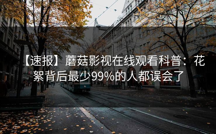 【速报】蘑菇影视在线观看科普：花絮背后最少99%的人都误会了